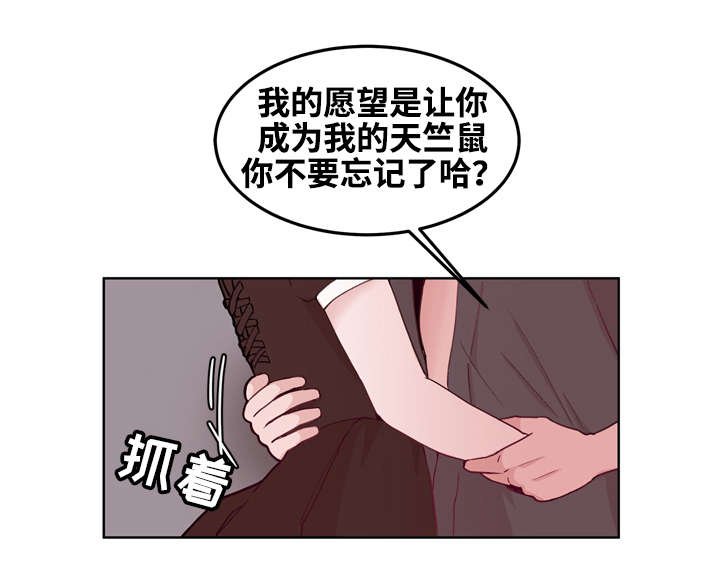 第15章：享受
