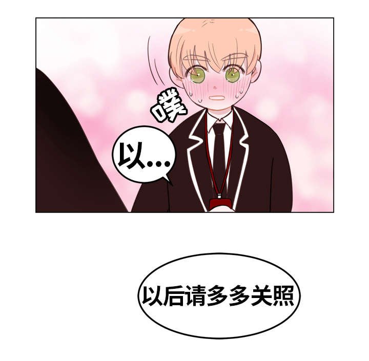 第2章：关照