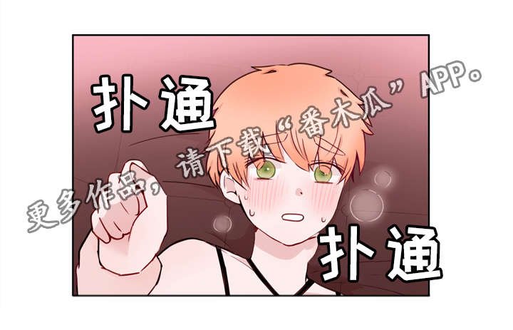 第23章：证明