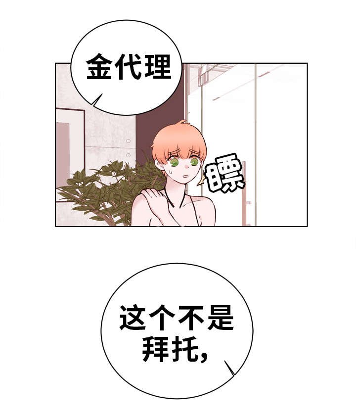 第24章：诱导