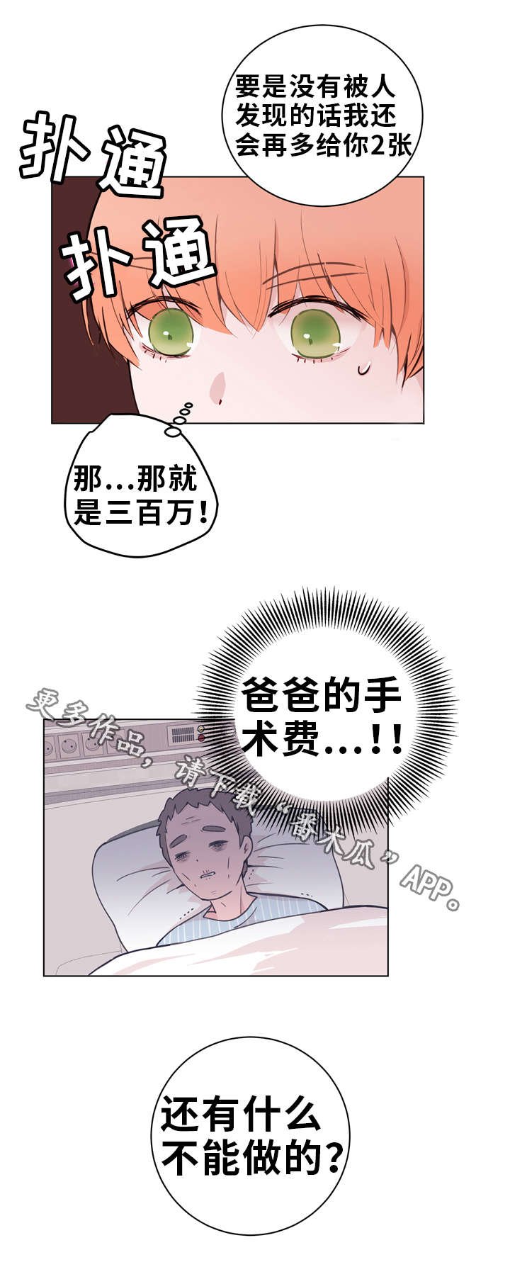 第24章：诱导