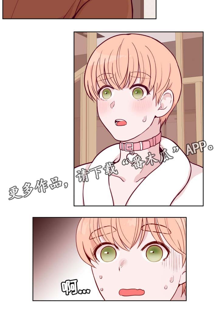 第45章：弟弟的爱人