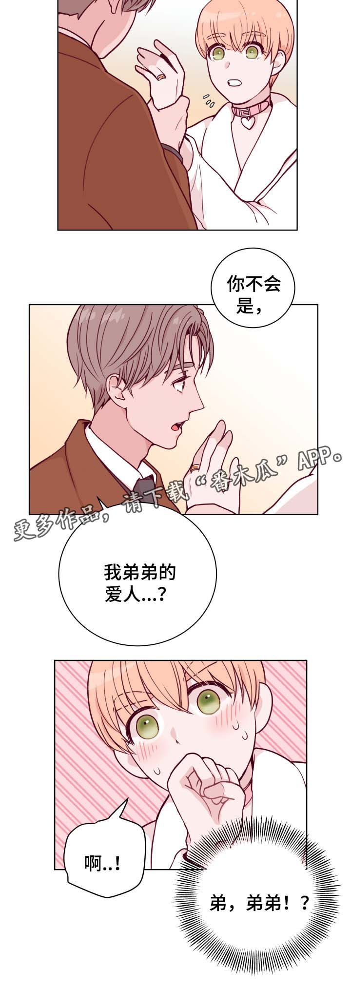 第45章：弟弟的爱人