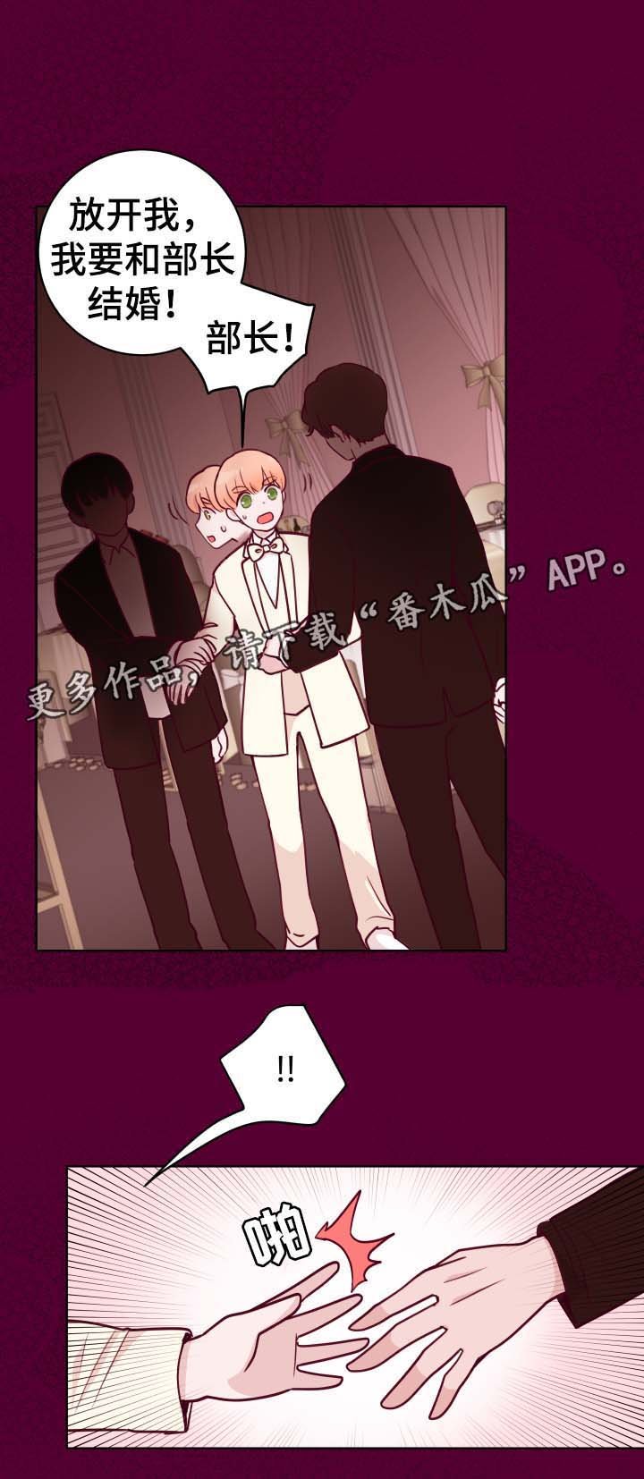 第49章：最喜欢