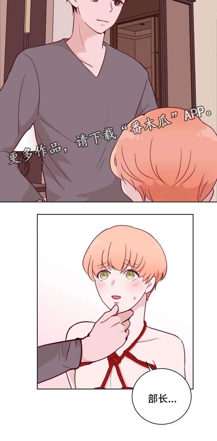 第58章：刮毛