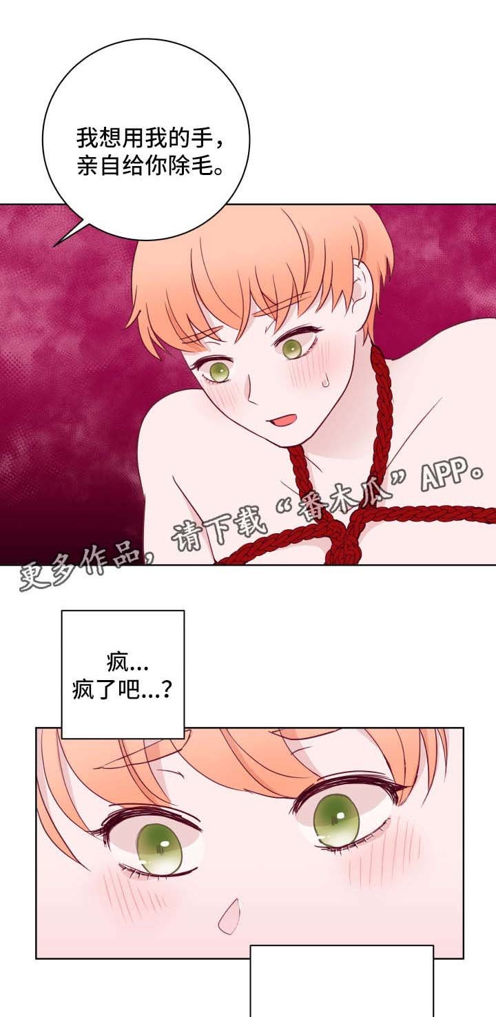 第58章：刮毛