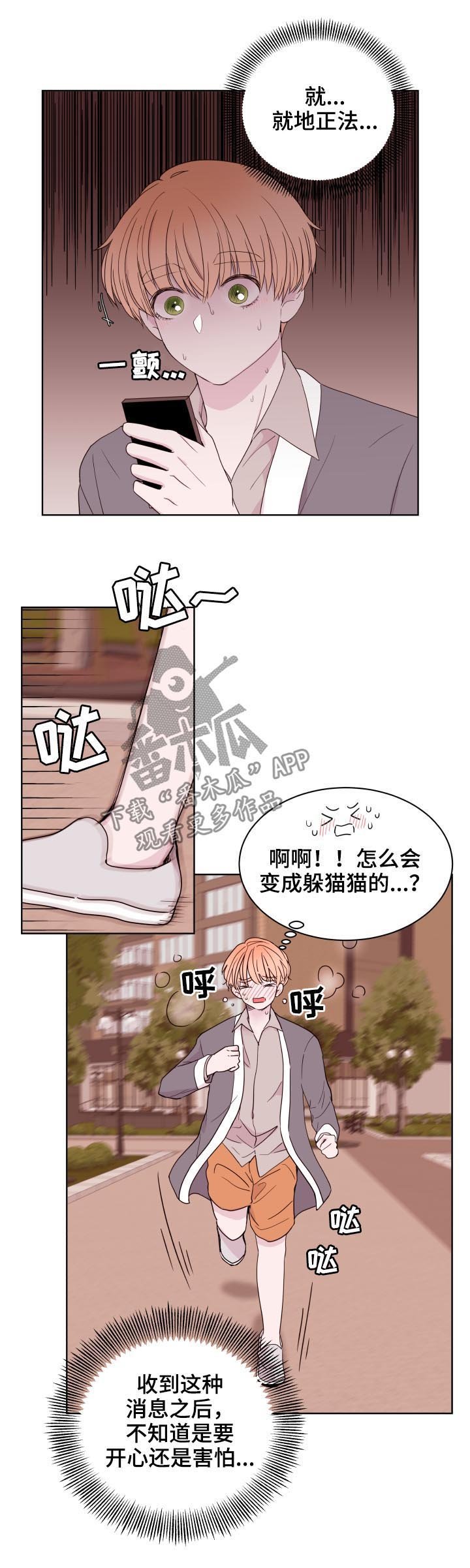 第86章：【第二季】躲猫猫