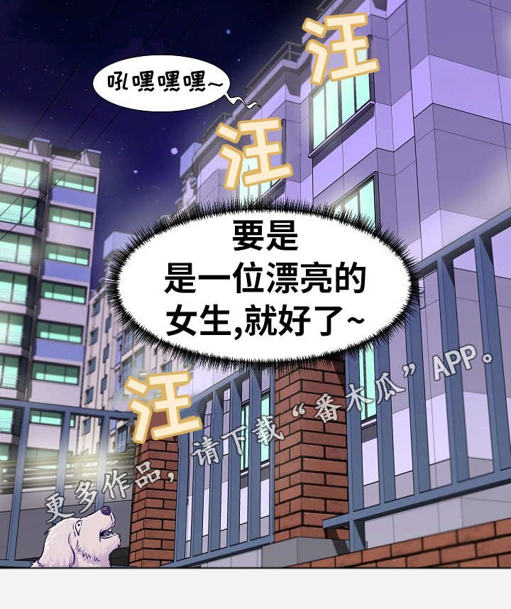第19章：安排