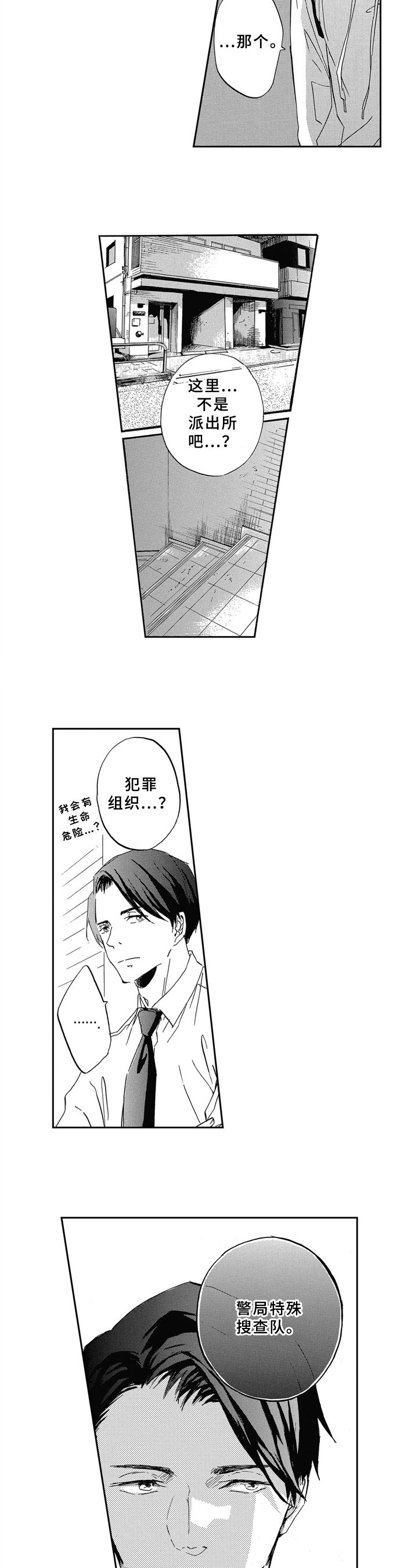 第3章：选择