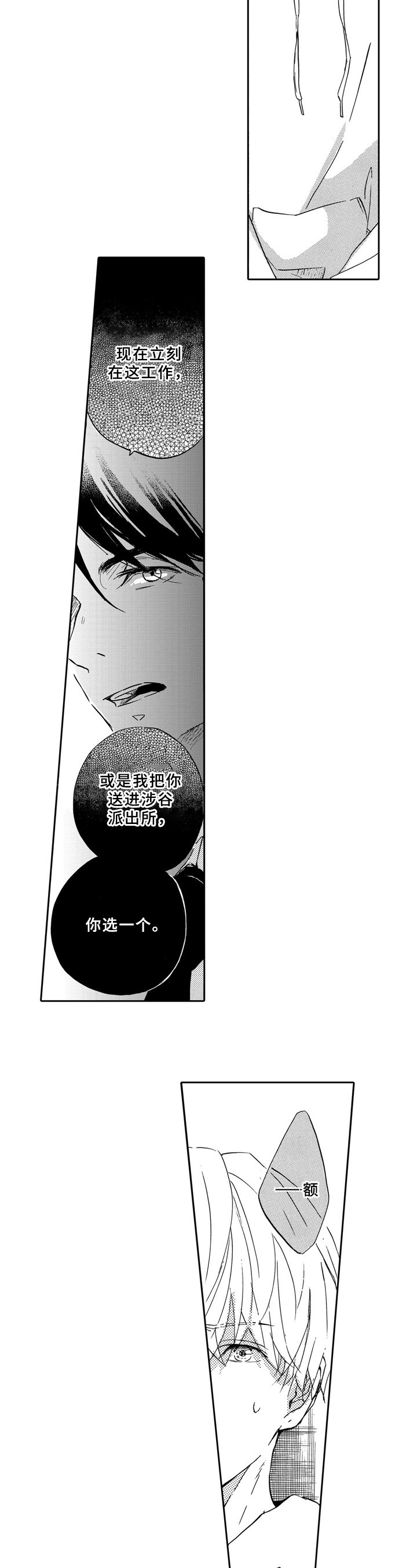 第3章：选择