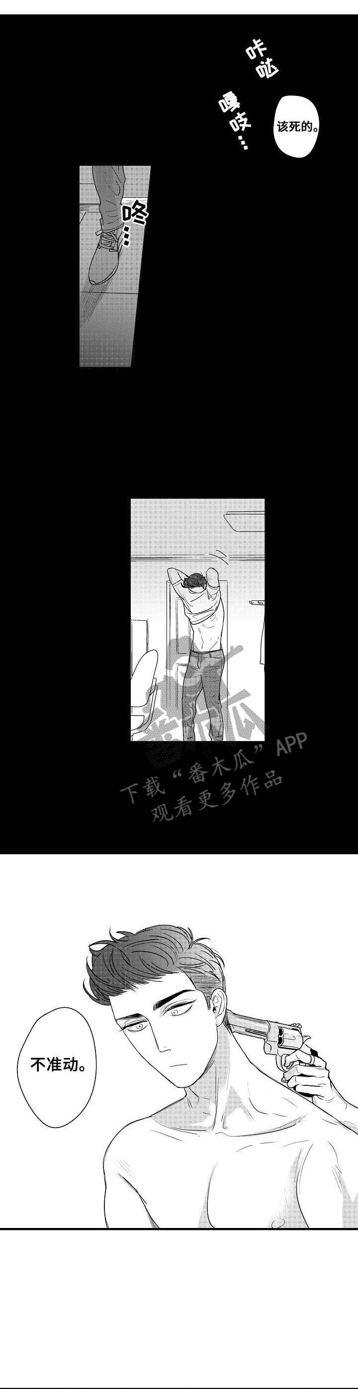 第13章：枪
