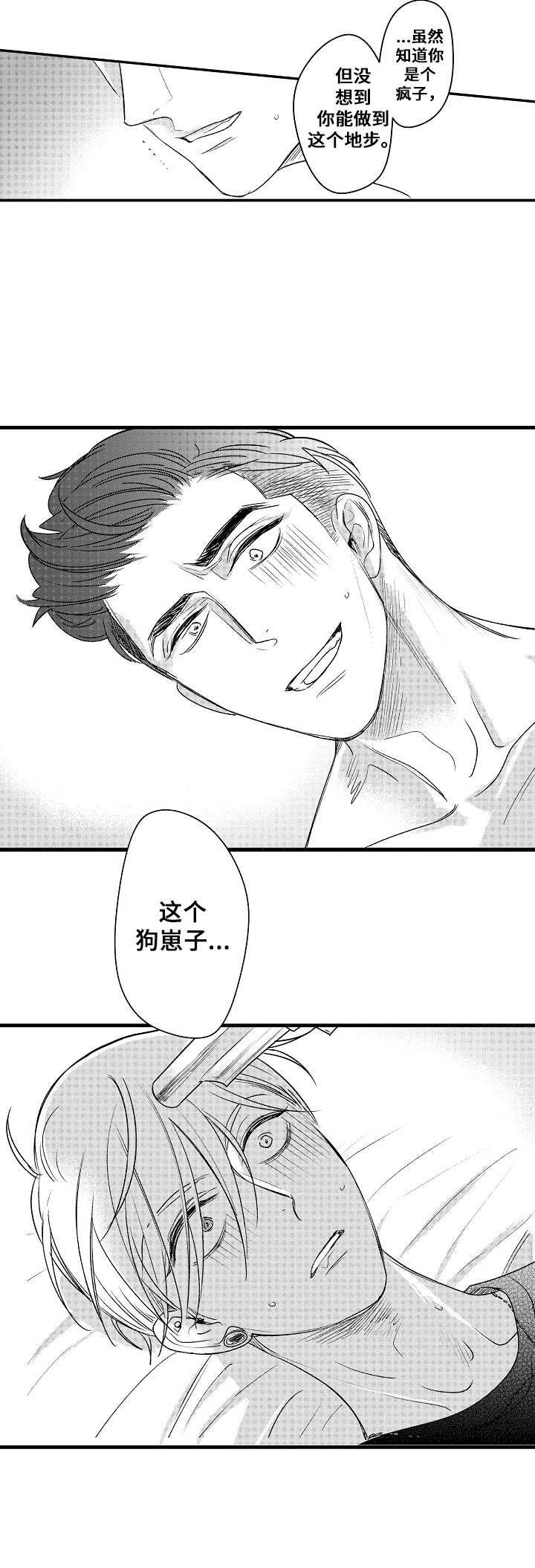 第13章：枪