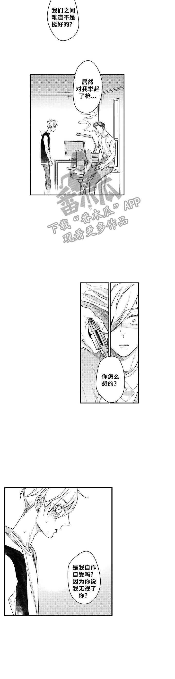 第13章：枪