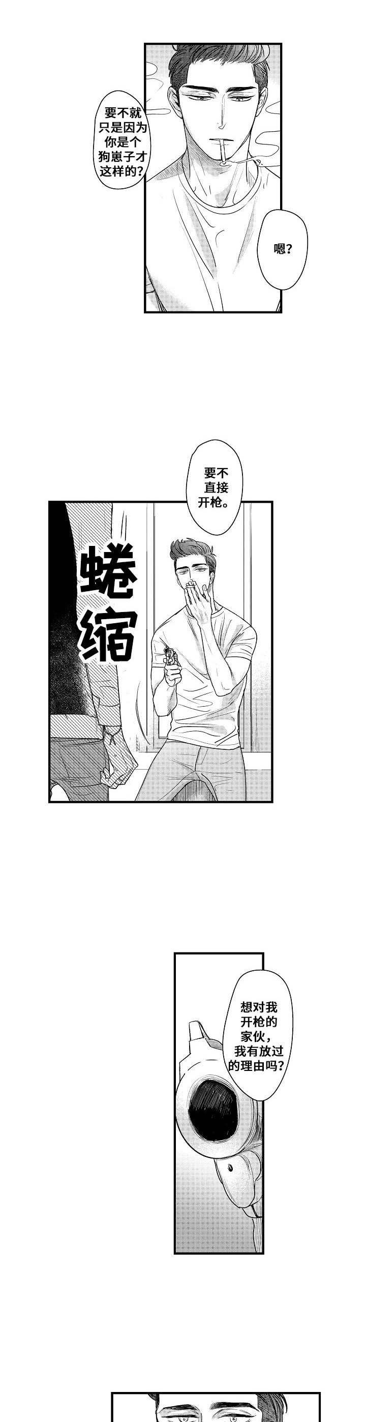 第13章：枪