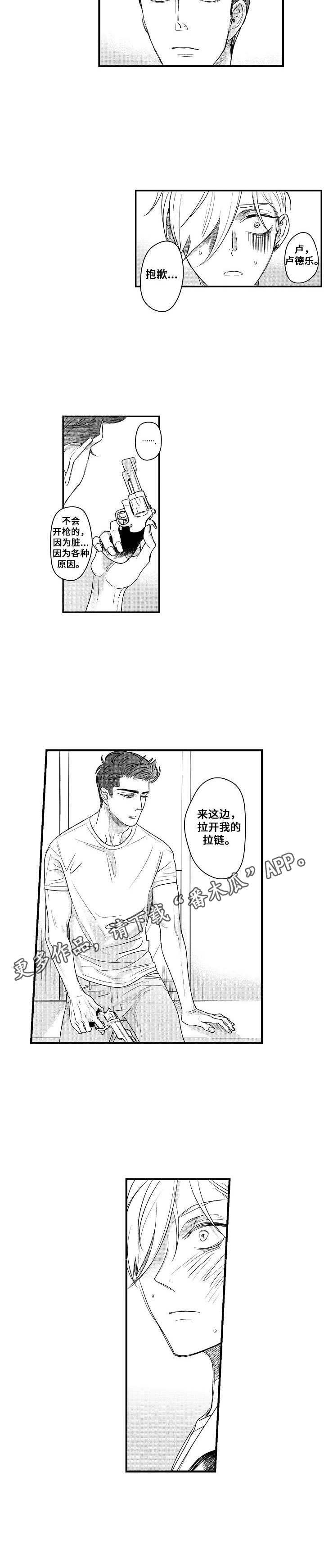 第13章：枪