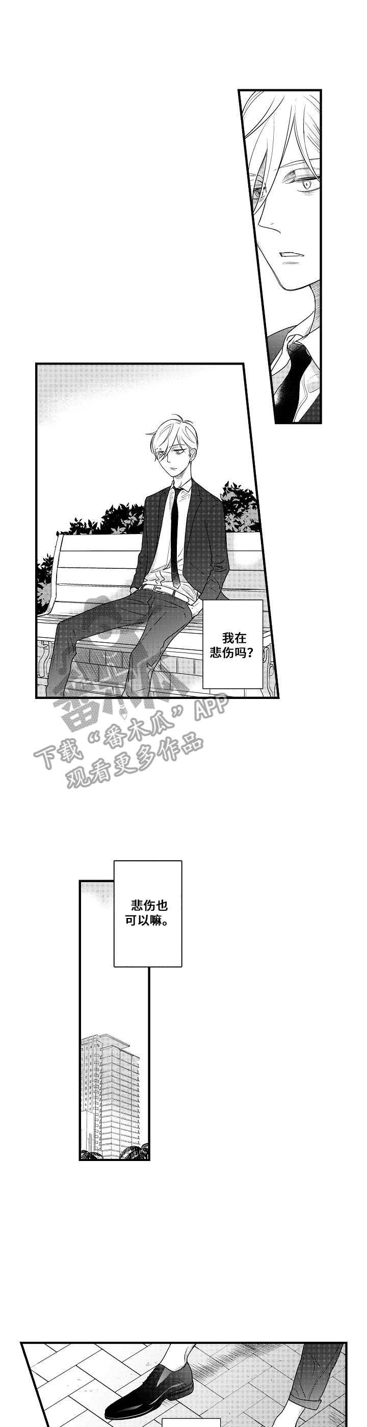 第15章：傻子一样