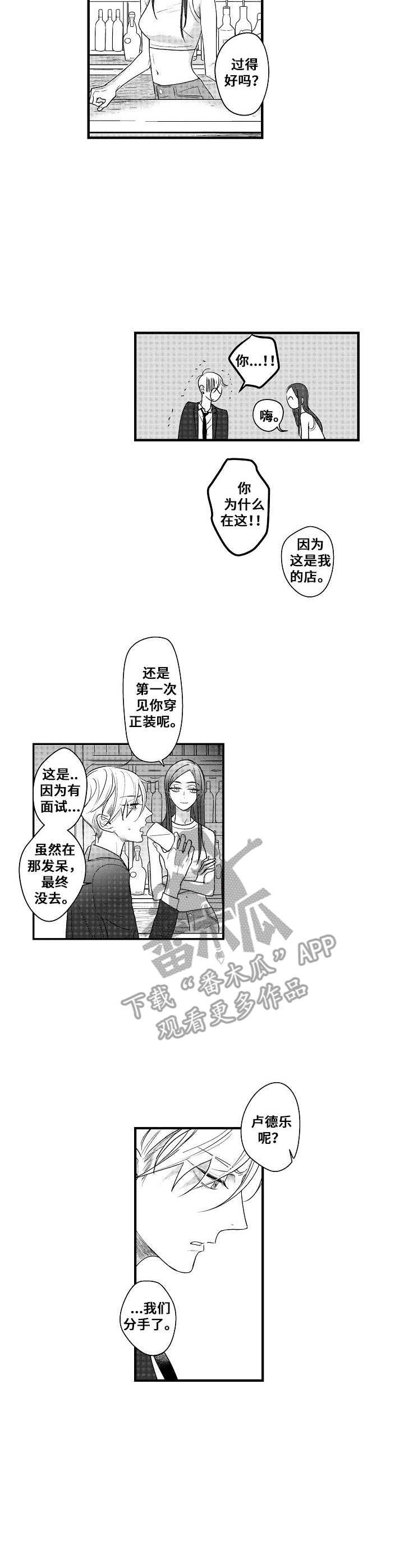 第15章：傻子一样