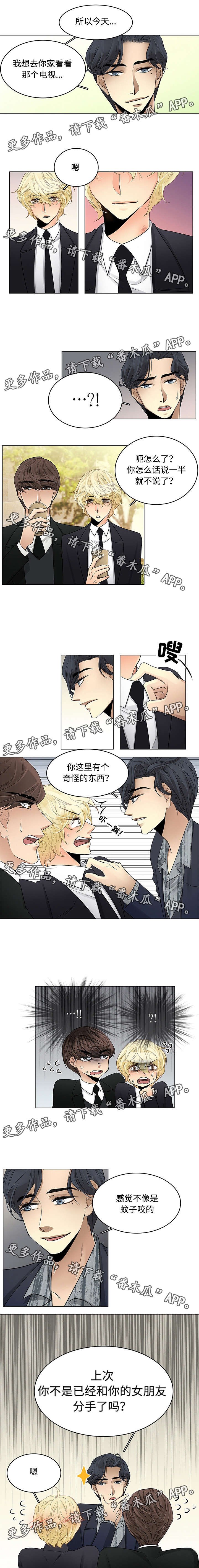 第17章：什么关系