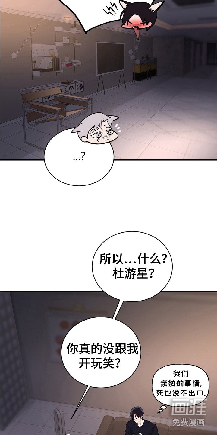 第17章：安全装置