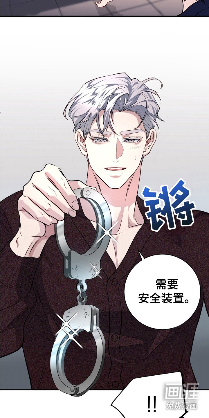 第17章：安全装置