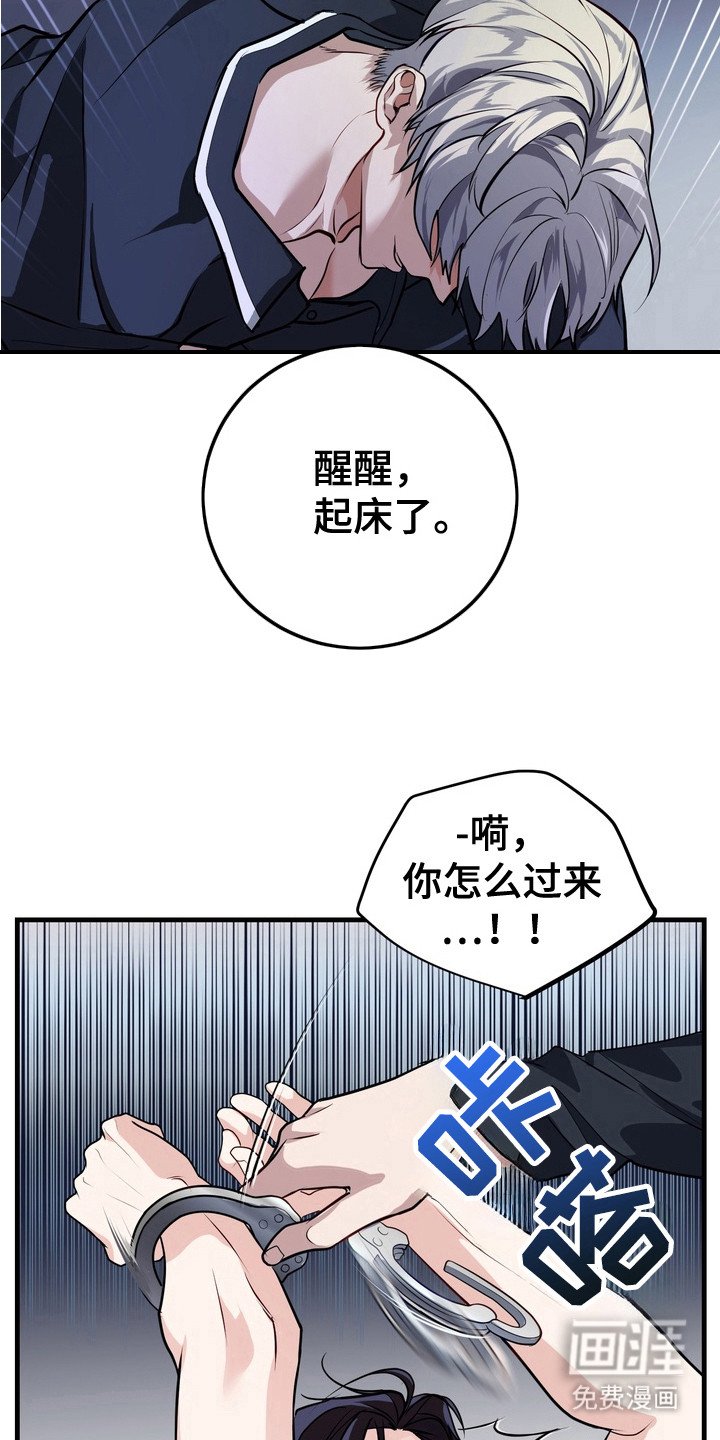 第17章：安全装置
