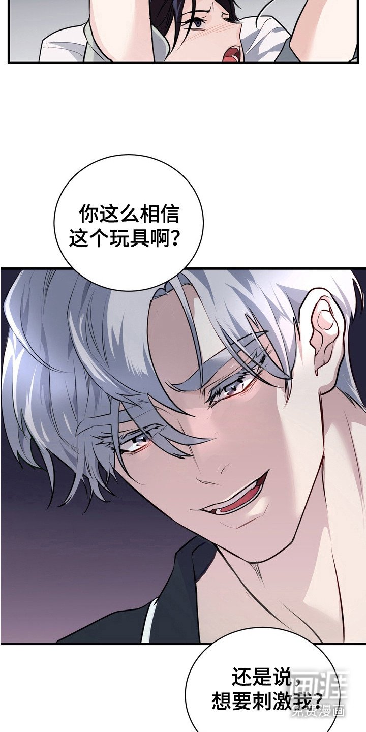 第17章：安全装置
