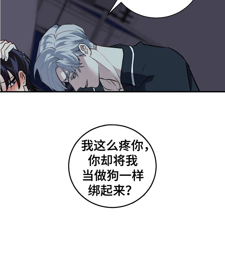 第17章：安全装置