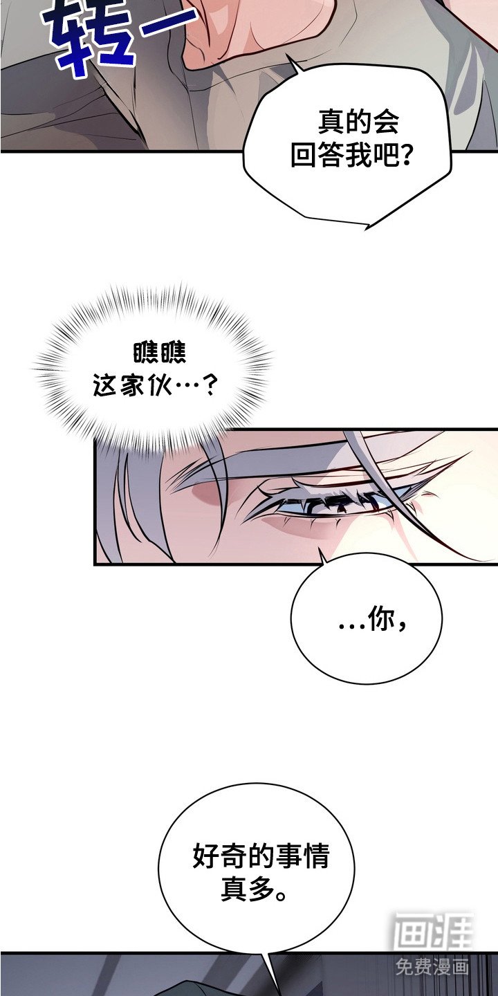 第17章：安全装置