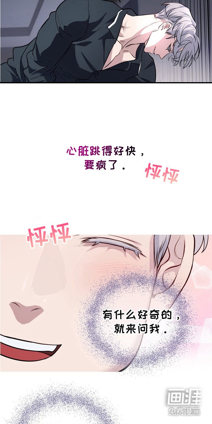 第17章：安全装置