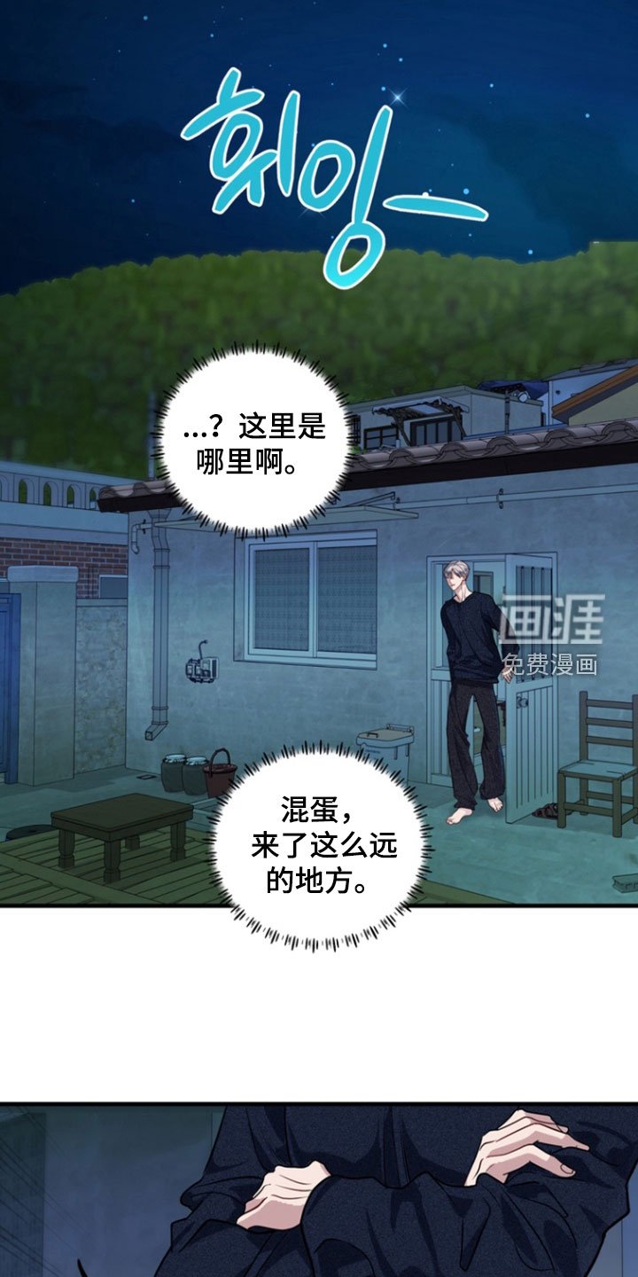 第26章：爱管闲事