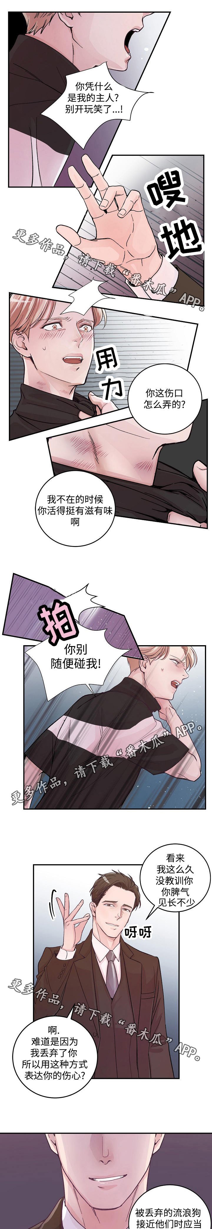 第19章：把柄