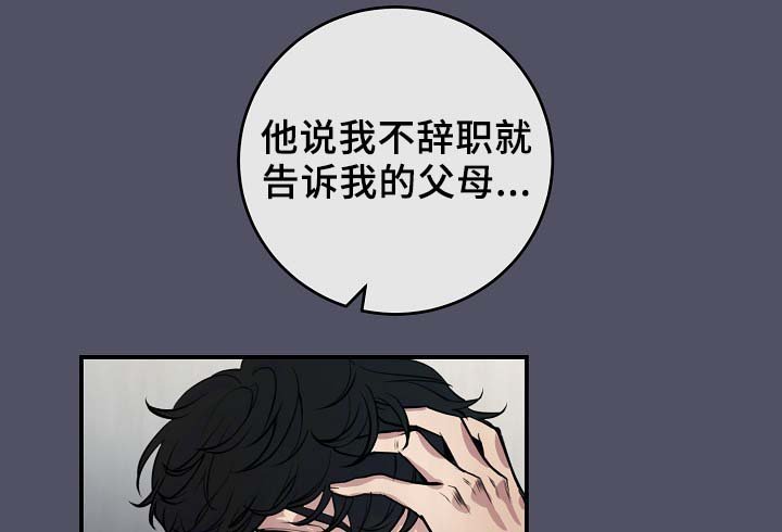 第62章：最耀眼的明星