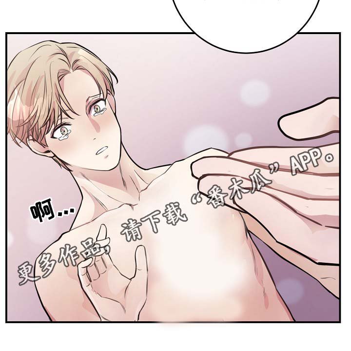 第62章：最耀眼的明星