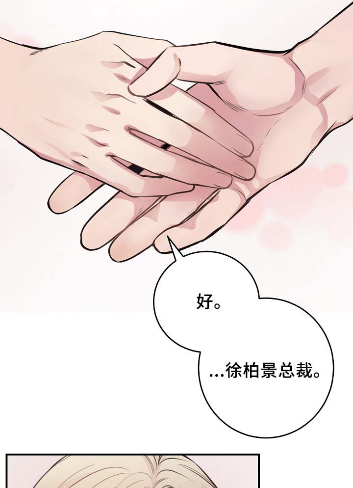 第62章：最耀眼的明星