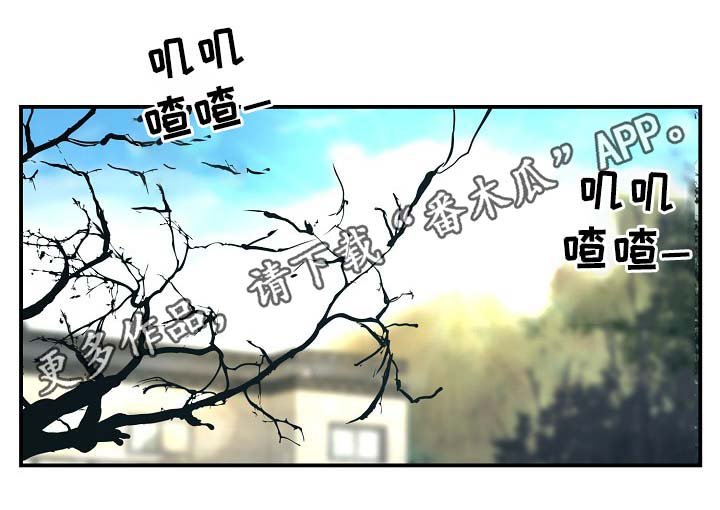 第63章：保重身体