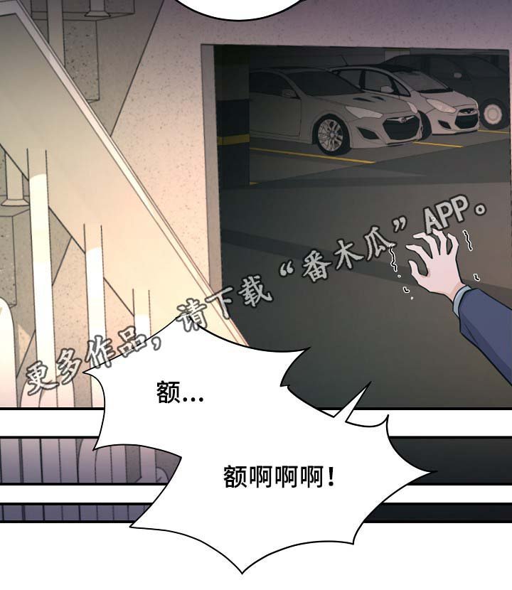 第65章：不再躲藏