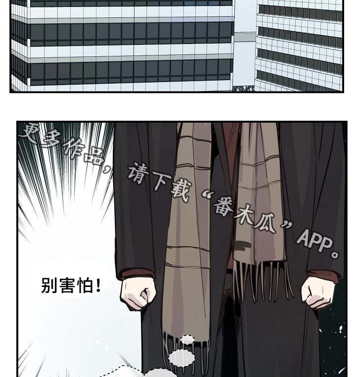 第66章：摊牌