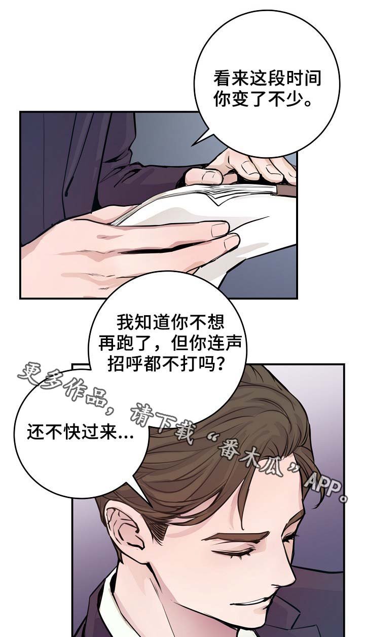 第66章：摊牌