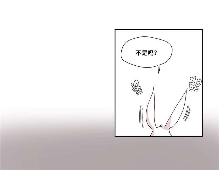 第1章：动物高中