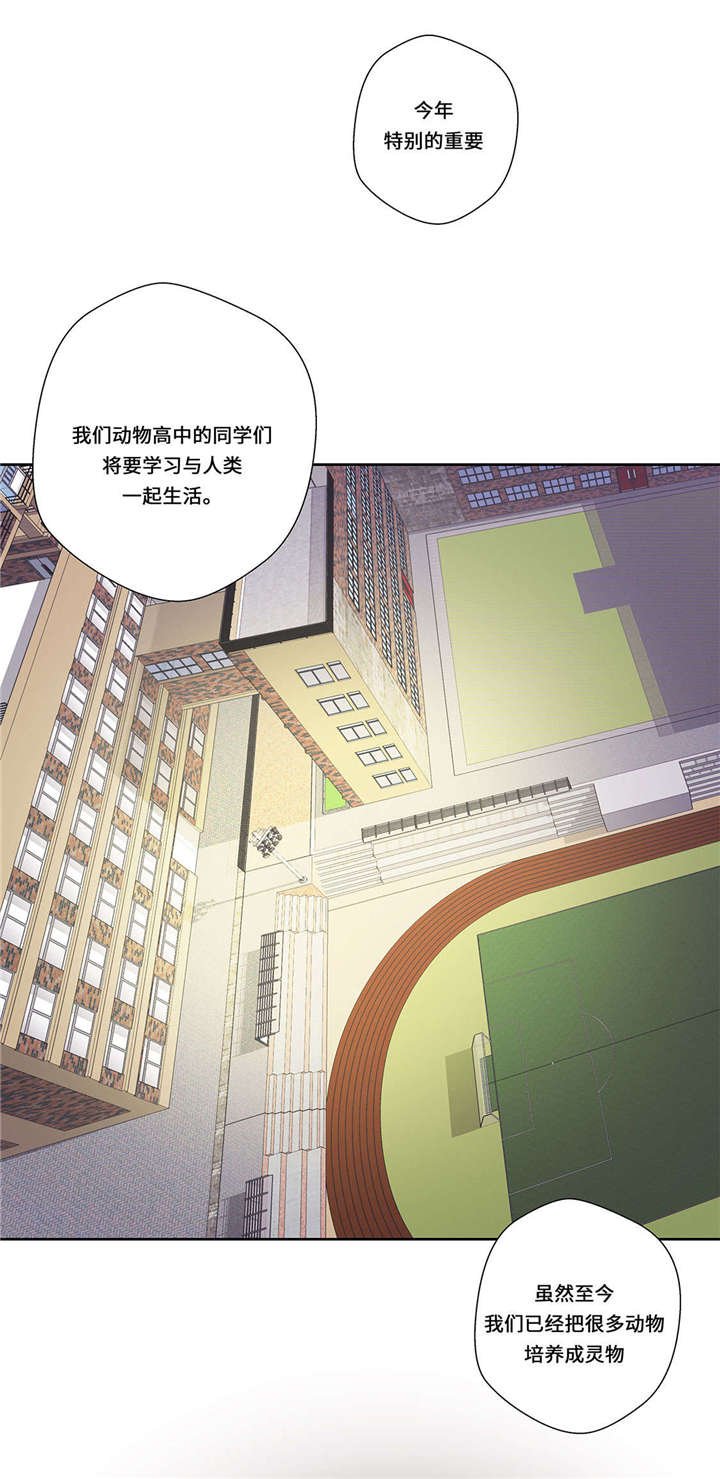 第1章：动物高中