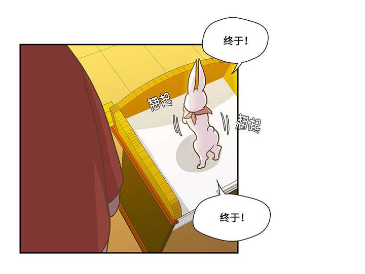 第1章：动物高中