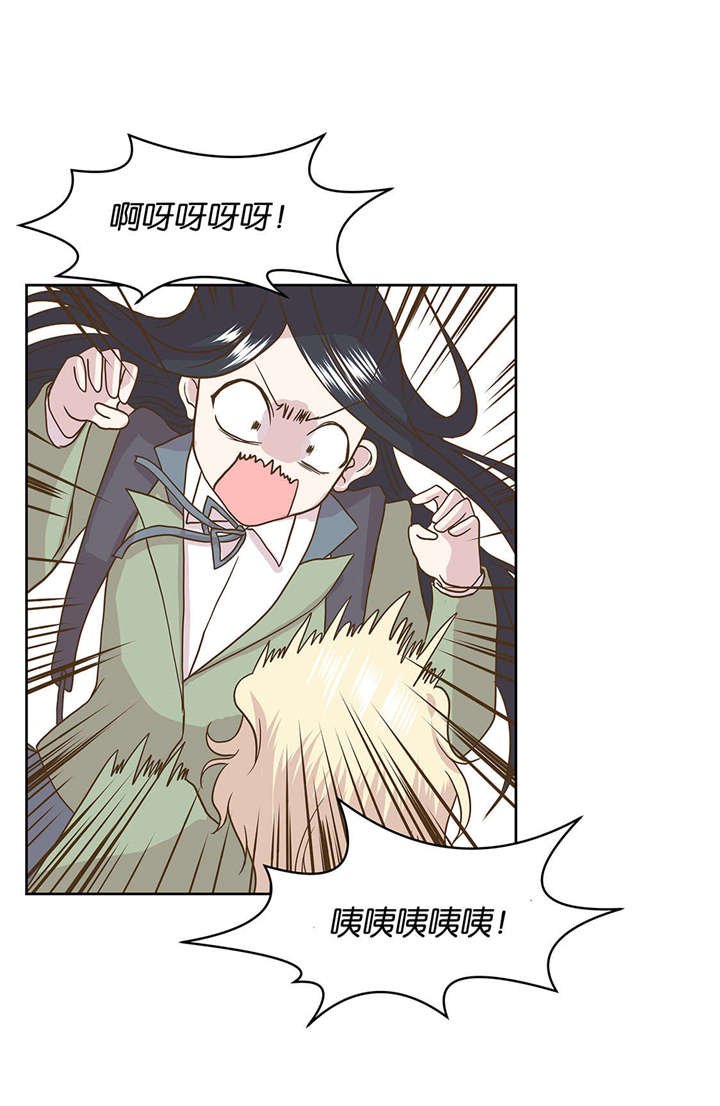 第1章：动物高中