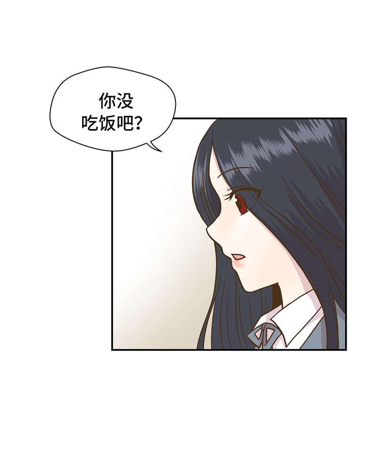 第11章：看不见的动物(下)