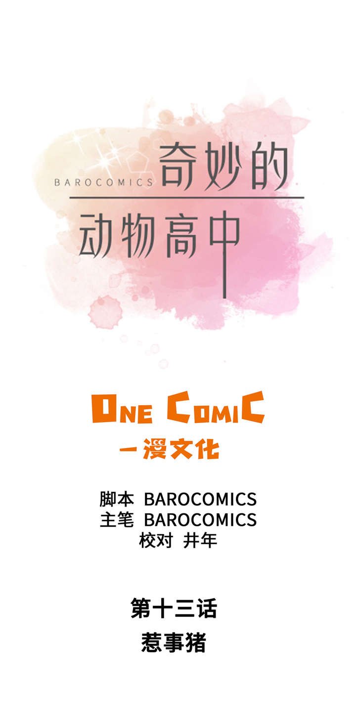 第13章：惹事猪