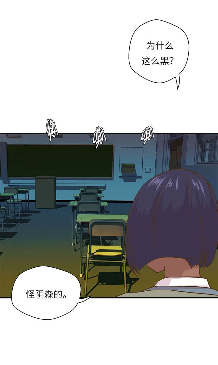 第13章：惹事猪