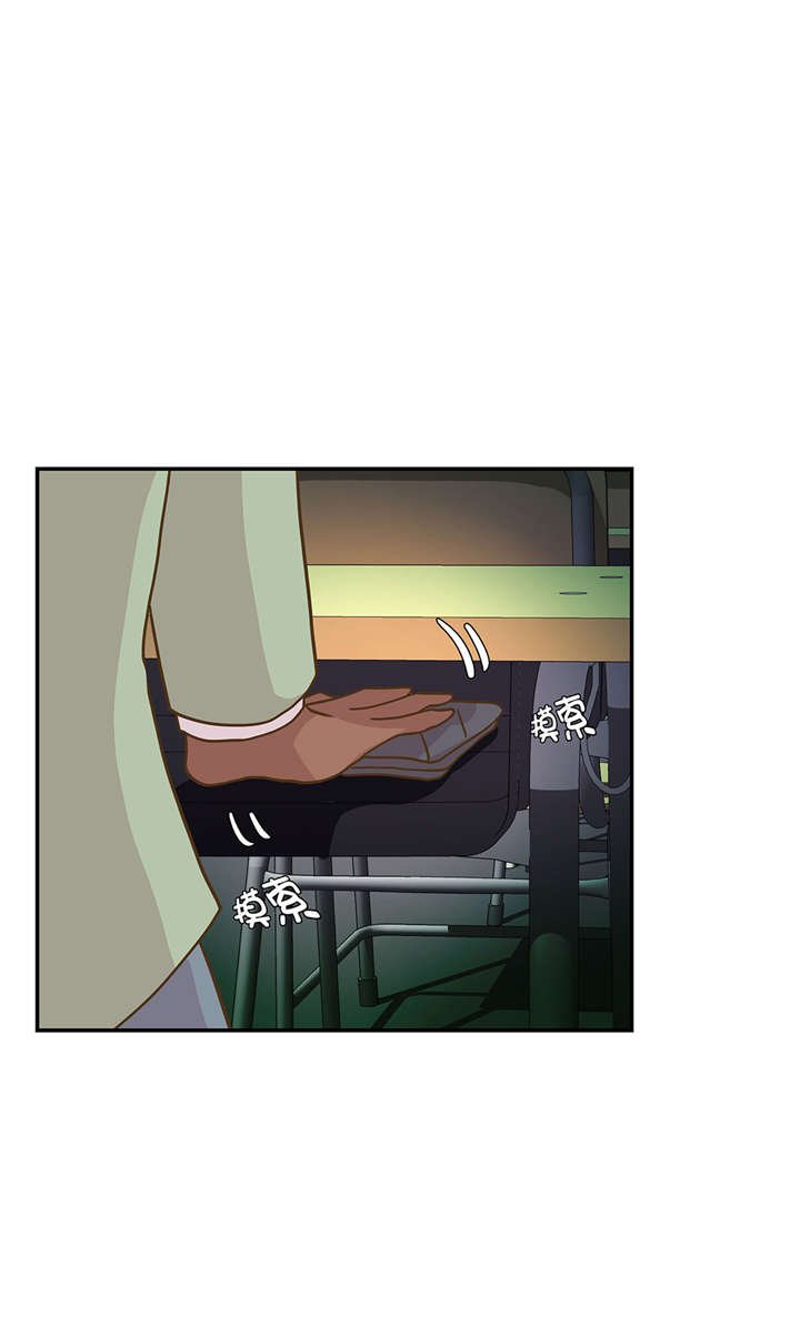 第13章：惹事猪