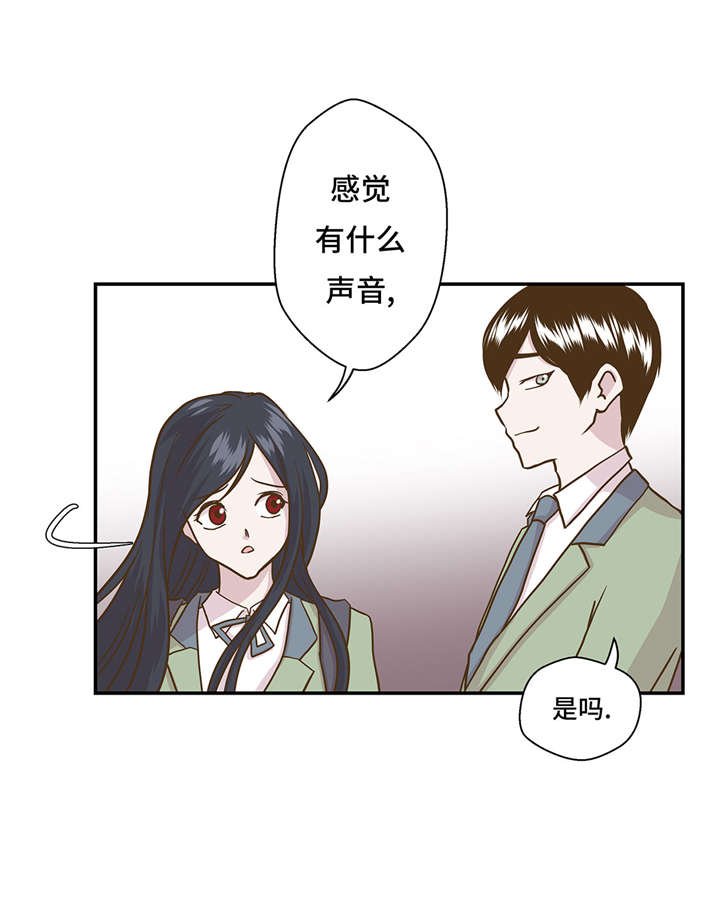 第13章：惹事猪