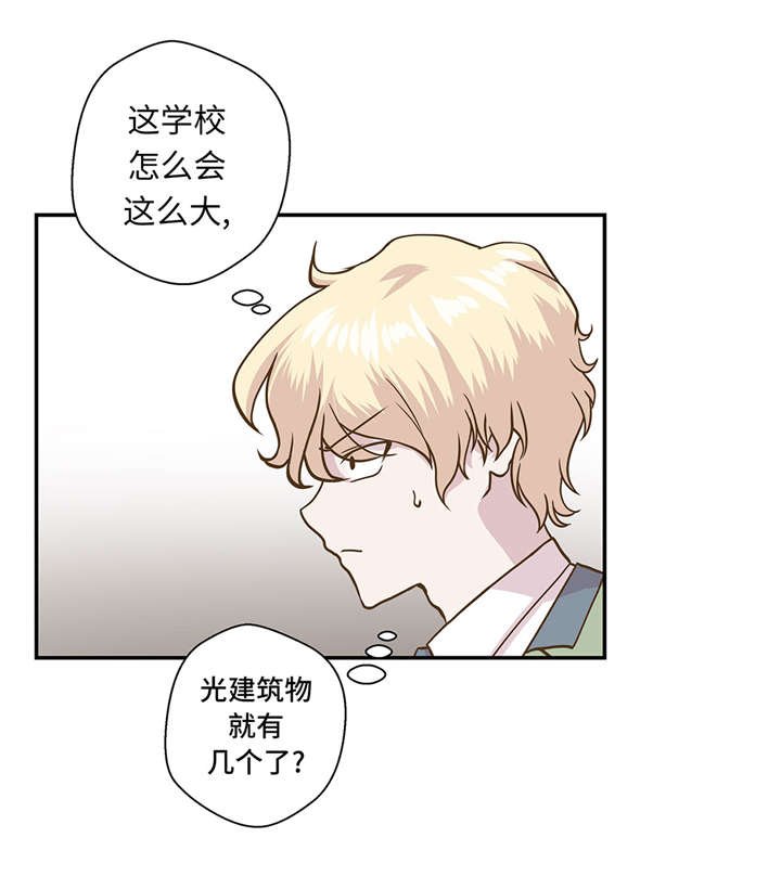 第13章：惹事猪