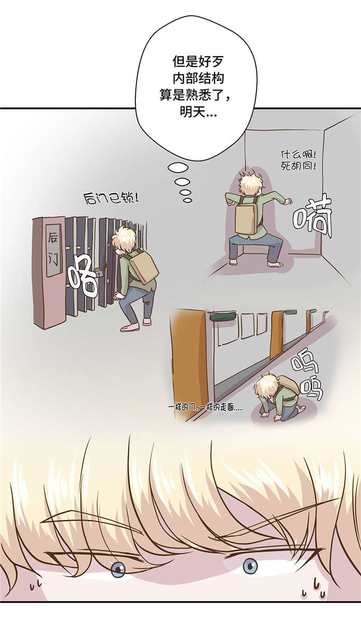 第13章：惹事猪