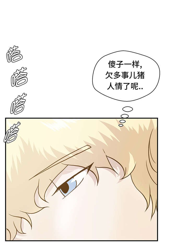 第13章：惹事猪